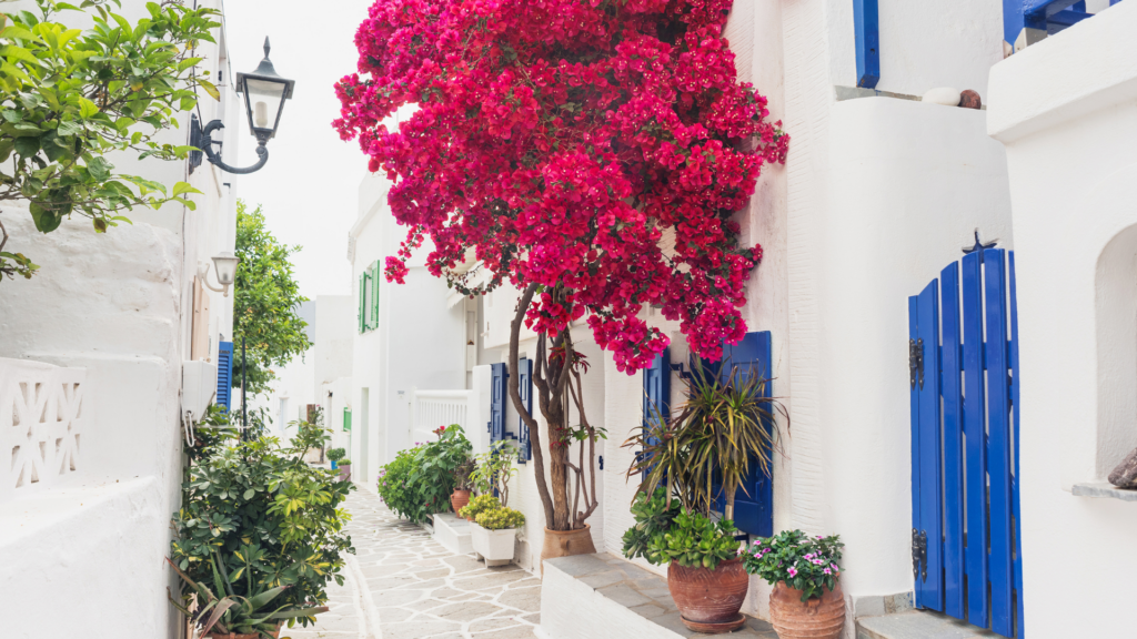 island life in greece