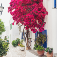 Properties for Sale in Paros – Invest in Island Living in the Cyclades